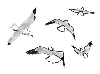 Obraz premium graficzny czarno-biały rysunek latające mewy pod różnymi kątami