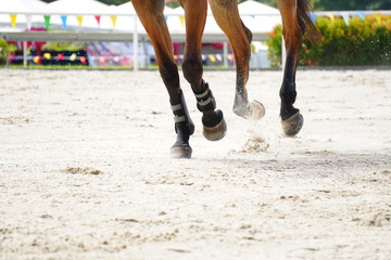 Close-up view on the hooves of horses running through a dusty field.