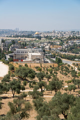 Fototapeta na wymiar Tzurim Valley National Park in Jerusalem