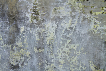 weathered wall with mold and cracked paint