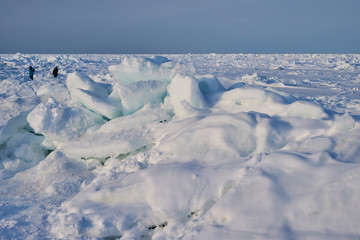 北海道網走市北浜　オホーツク海の流氷 © osap1111
