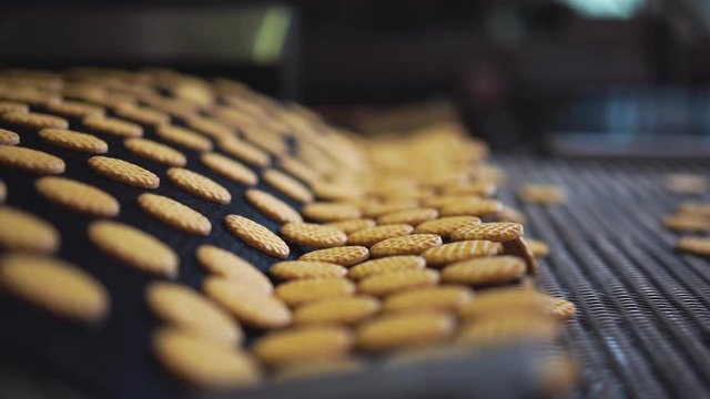 Rack focus shot in slow motion of biscuits falling into a conveyor in a factory.