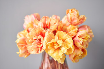 Beautiful orange and with red streaks tulips in vase. Flower background. Floral Wallpaper. Copy...