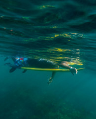 Obraz na płótnie Canvas Underwater view of male surfer