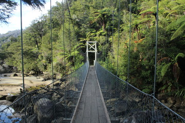 Hiking through New Zealand