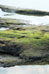 Beautiful stones on the Jeju island
