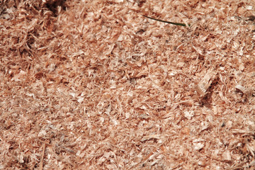 a close up of saw dust texture