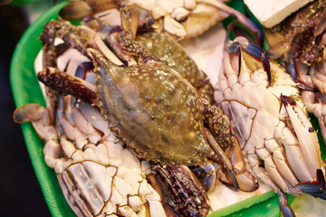 fresh seafood at the market