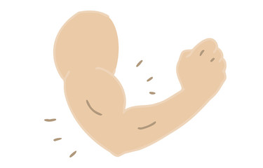 ボディパーツ素材：男性、上腕、力こぶ