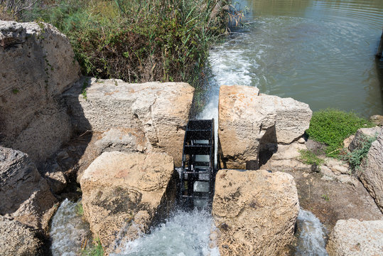 Taninim Stream Nature Reserve in Israel