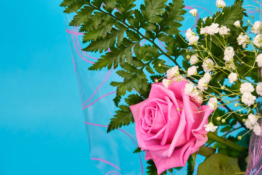 Pink rose with a leaf of green fern and a hypsophila Bush on a blue background, place for text.