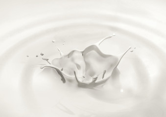 splash of milk on white background