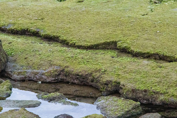 Beautiful stones on the Jeju island