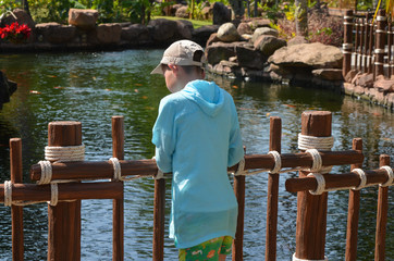 Boy back view look at the koi fish in the pond in summer lifestyle