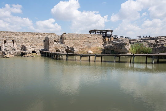 Taninim Stream Nature Reserve in Israel