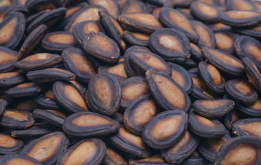 Watermelon Seeds Close up