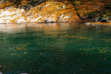 Clean mountain river in the autumn forest.