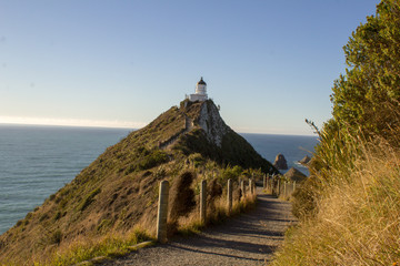 Nugget Point Lighthouse, New Zealand