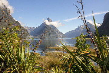 Milford Sound