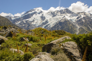 Mt Cook National Park