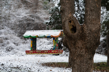 Image of a birdhouse in a winter park.