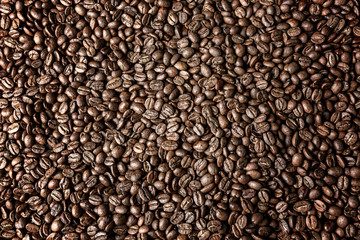 Roasted coffee beans. Background. Space for text. Tinted.