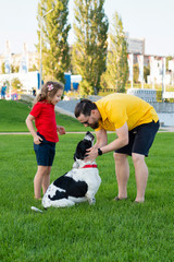 Naklejka na ściany i meble Happy family on summer walk. Dad, daughter and hunting dog have fun in park and playing together. Friendship between owner and pet. Funny expressive leisure time. Faithful friends of human.
