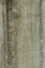 Fototapeta premium weathered wall with mold and cracked paint