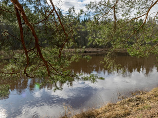 beautiful sunny landscape with river