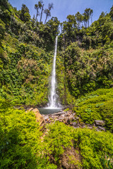 Beautiful Patagonian waterfall in a forest lit by the rising sun of Patagonia