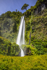 Beautiful Patagonian waterfall in a forest lit by the rising sun of Patagonia