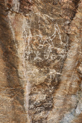 ancient drawing on the cave wall