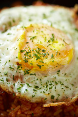 fried rice with egg