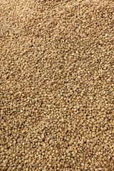  Close up of coffee beans for background   