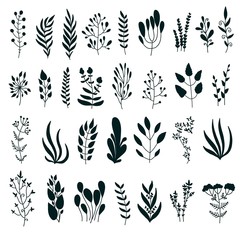 Fototapeta premium Doodle floral elements set. Hand drawn leaves isolated on white background.