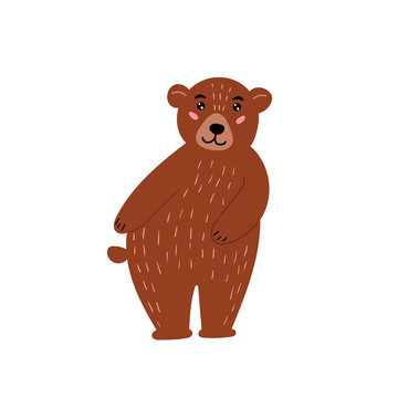 Cute brown bear