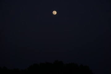 moonlight, moonlight night, moon light, travel, scenery, night time, sky, night, moon