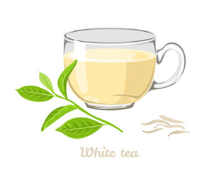 White tea in glass cup isolated on white background. Hot drink, dried leaves and fresh leaf . Vector illustration in cartoon flat style.