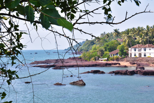 landscape image of the ocean in dona paula beach with unfocused tree branches