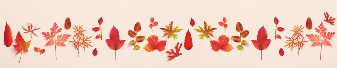Naklejka na ściany i meble red autumn leaves on yellow background