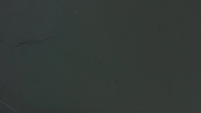 Aerial drone bird's eye view video of boat anchored at shore. Beautiful river top view cinematic Camera Curve to Capture River Sava in Bosnia and Herzegovina. Filmed in 4k