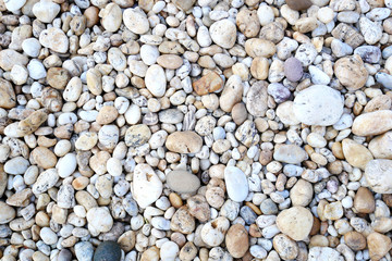 stone background. pebbles on the beach