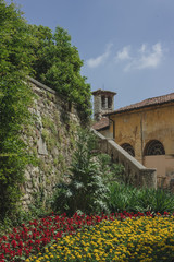 An old stone wall covered with beautiful plants and bright flowers. Brescia, Italy. Soft focus, blurry background.