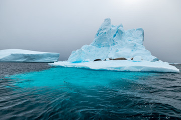 Fototapeta na wymiar Landscapes in Antarctica - Sailing Expedition to Antarctica 