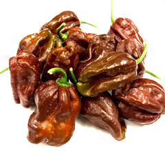dry red  chili  isolated on white background cutout