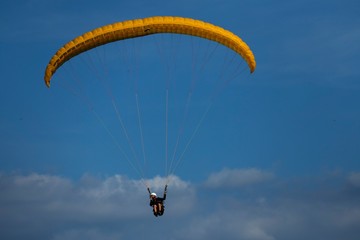 paraglider
