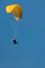 paraglider