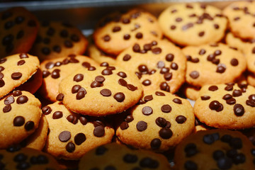 Delicious cookies with chocochips. Dark light.