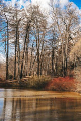 The lake in the spring and the autumn forest in the Park