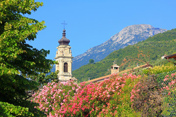 church tower gargnano village inmidst blooming geranium flowers, italy
